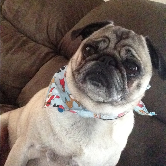 Make an offer😀 - Picture 1 of 1